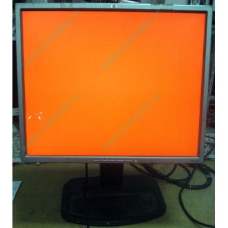 Монитор 19" TFT HP 1955 (DVI в Норильске, USB-хаб) "квадратный" (Норильск)