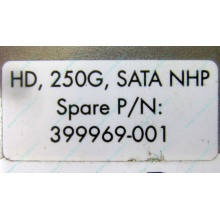 HP 250G 7.2k 432337-001/ 399699-001 / 397377-004 SATA HDD (Норильск)
