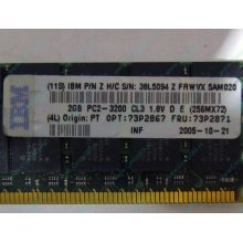 IBM 73P2871 73P2867 2Gb (2048Mb) DDR2 ECC Reg memory (Норильск)
