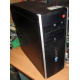 БУ компьютер HP Compaq Elite 8300 (Intel Core i3-3220 (2x3.3GHz HT) /4Gb /250Gb /ATX 320W) - Норильск