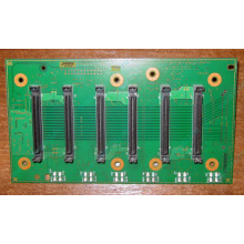 Плата корзины на 6 HDD SCSI FRU 59P5159 для IBM xSeries (Норильск)
