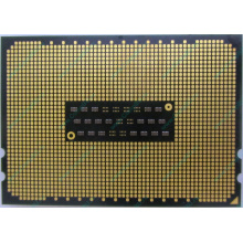 AMD Opteron 6128 OS6128WKT8EGO (Норильск)