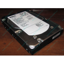 Жесткий диск 300Gb 15k Dell 9CH066-050 ST3300656SS Cheetah 15K.6 6G SAS (Норильск)